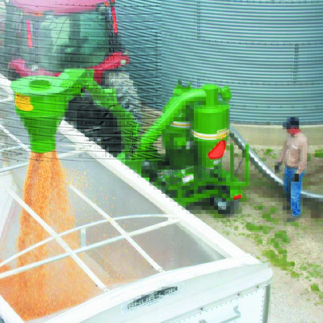 ���ô�WALINGA������